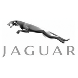 STICKER JAGUAR logo 2021 L95 h 50 mm