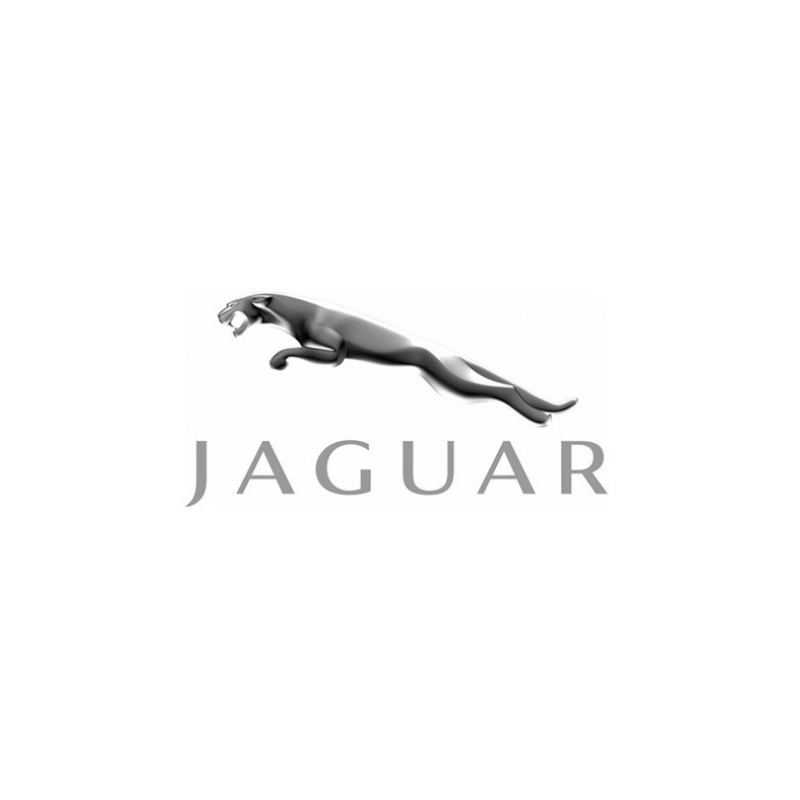 STICKER JAGUAR logo 2021 L95 h 50 mm