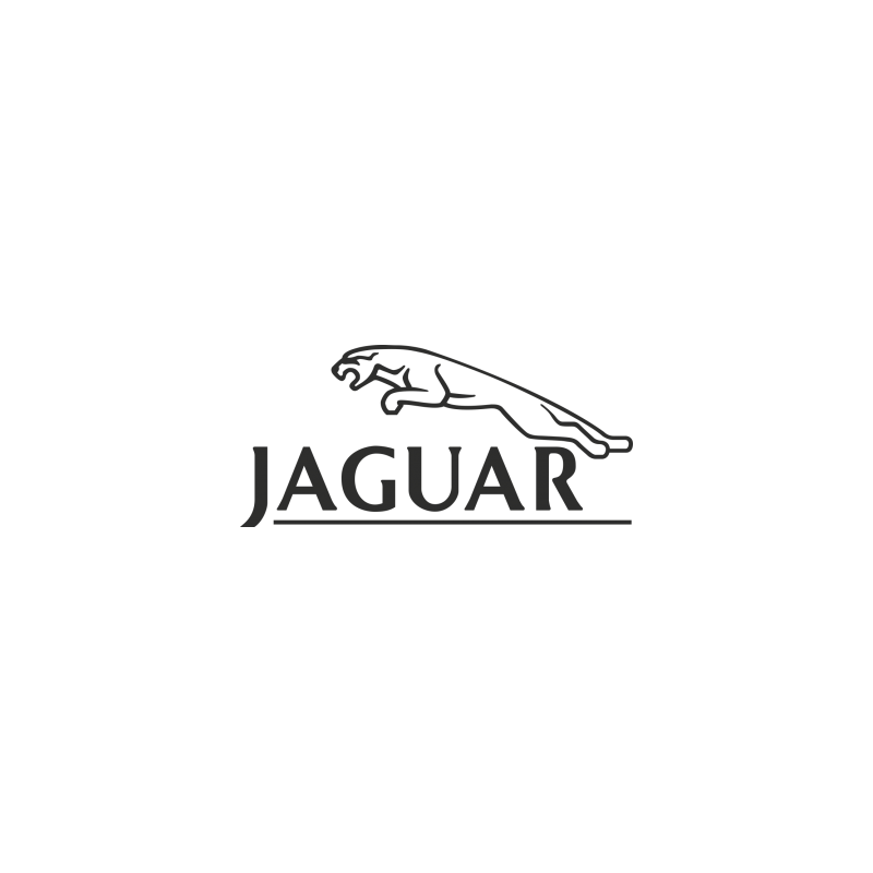 STICKER JAGUAR logo jag L 65 H 30 mm