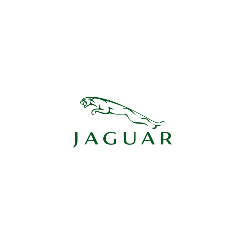 STICKER JAGUAR racing logo vert L 100 H 50 mm