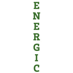 STICKER BP logo ENERGIC L130 H 1300 mm