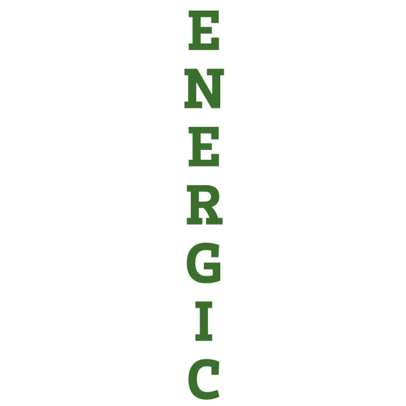 STICKER BP logo ENERGIC L130 H 1300 mm