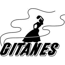 Autocollant GITANE logo...