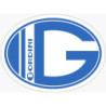 Autocollant GORDINI logo G  L 160 H 120 mm