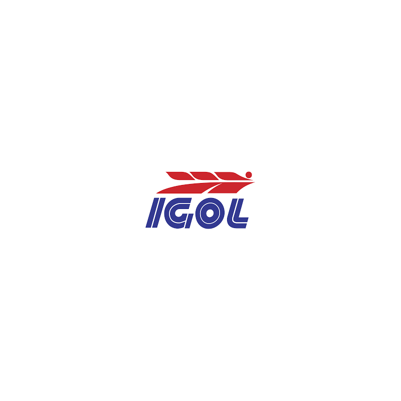 Autocollant IGOL logo 1990 L 55 H 32 mm