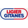 Autocollant LIGIER logo gitane rectangle L120 H 50 mm