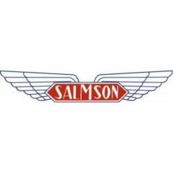 STICKER SALMSON logo L100 H 20 mm