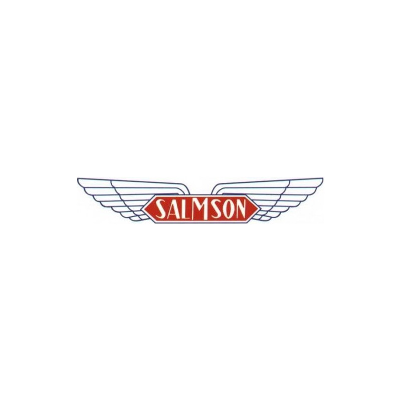 STICKER SALMSON logo L100 H 20 mm