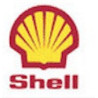 STICKER SHELL logo 1971  L 64 H 78 mm