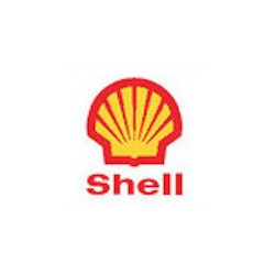 STICKER SHELL Logo  1995 L 128 H 152 mm