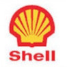 STICKER SHELL Logo  1995 L 128 H 152 mm